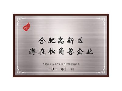 Entreprises licornes potentielles dans la zone de haute technologie de Hefei