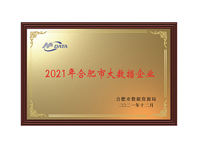 Hefei Big Data Entreprise en 2021