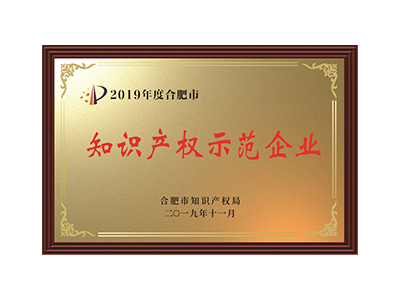 Entreprise de démonstration de propriété intellectuelle